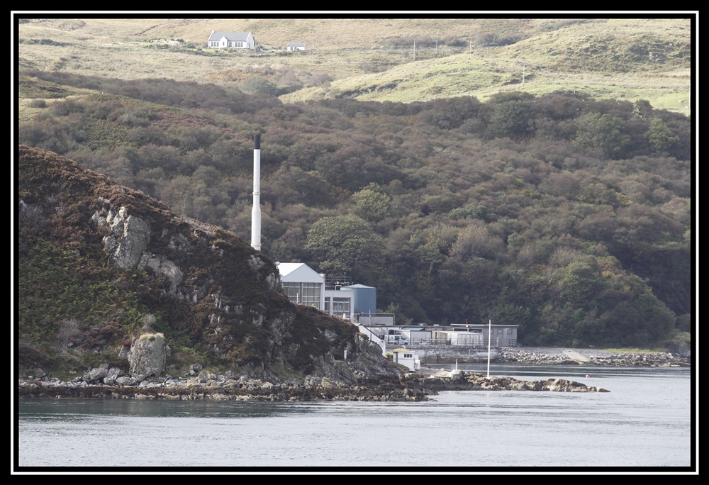 Scotland 2011   1372   Y    GI 9598 s